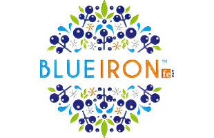 Blueiron logo