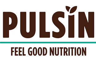 Pulsin logo