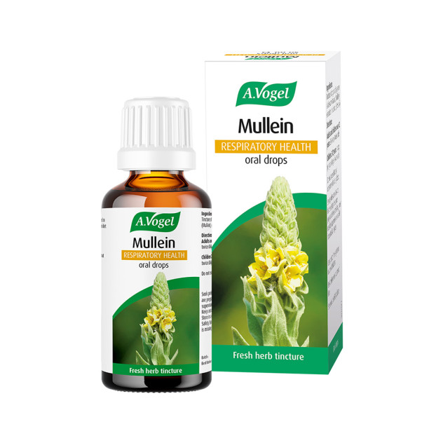 Mullein Oral Drops, 50ml Mullein Oral Drops, 50ml