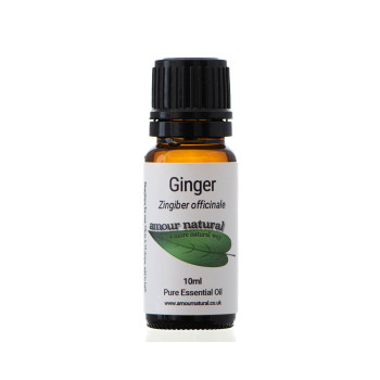 Ginger Pure Essential Oil 10ml