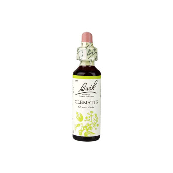 Bach Flower Remedies - Clematis