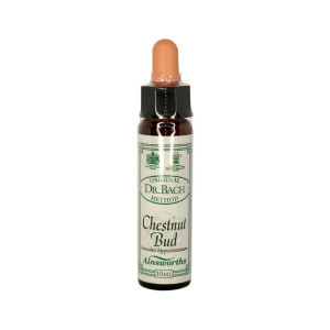 Chestnut Bud Remedy 10ml