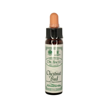 Chestnut Bud Remedy 10ml