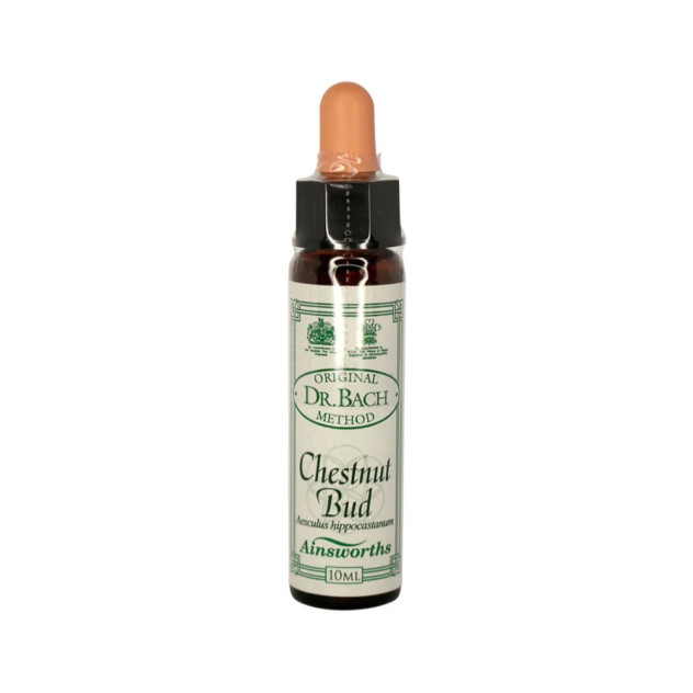 Chestnut Bud Remedy 10ml