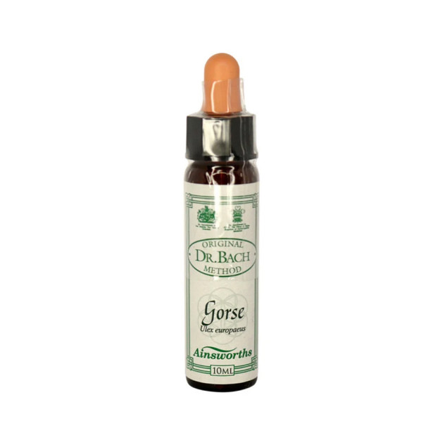 Gorse Remedy 10ml