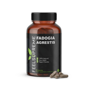 Fadogia Agrestis 90 capsules
