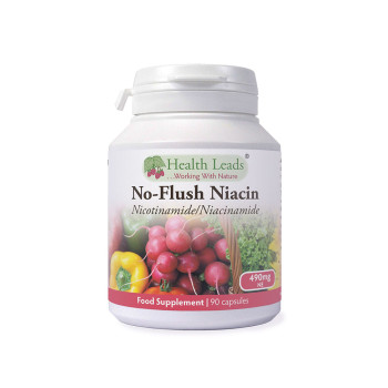 Health Leads - No - Flush Niacin 490mg - 90 Capsules