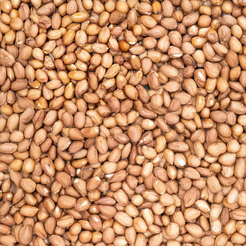 Peanuts, Organic, 200g