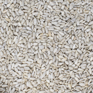Sunflower Seeds, 500g